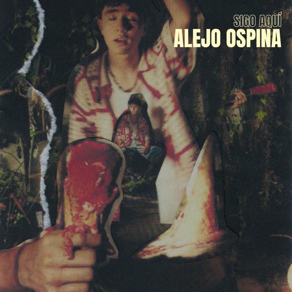 Album cover of Sigo Aquí