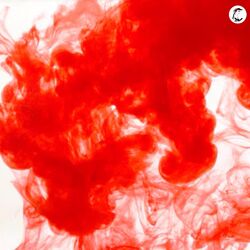 Cover of Red Mist