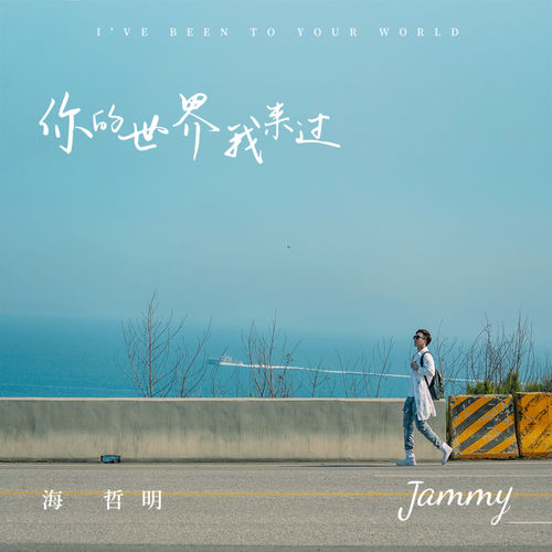 你的世界我来过