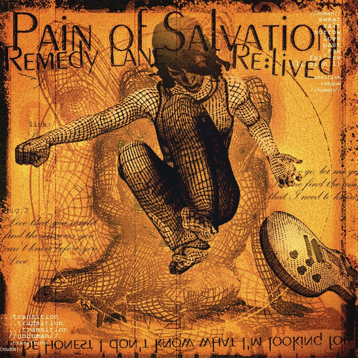 Album cover of Remedy Lane Re:lived