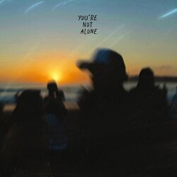 Cover of You're Not Alone