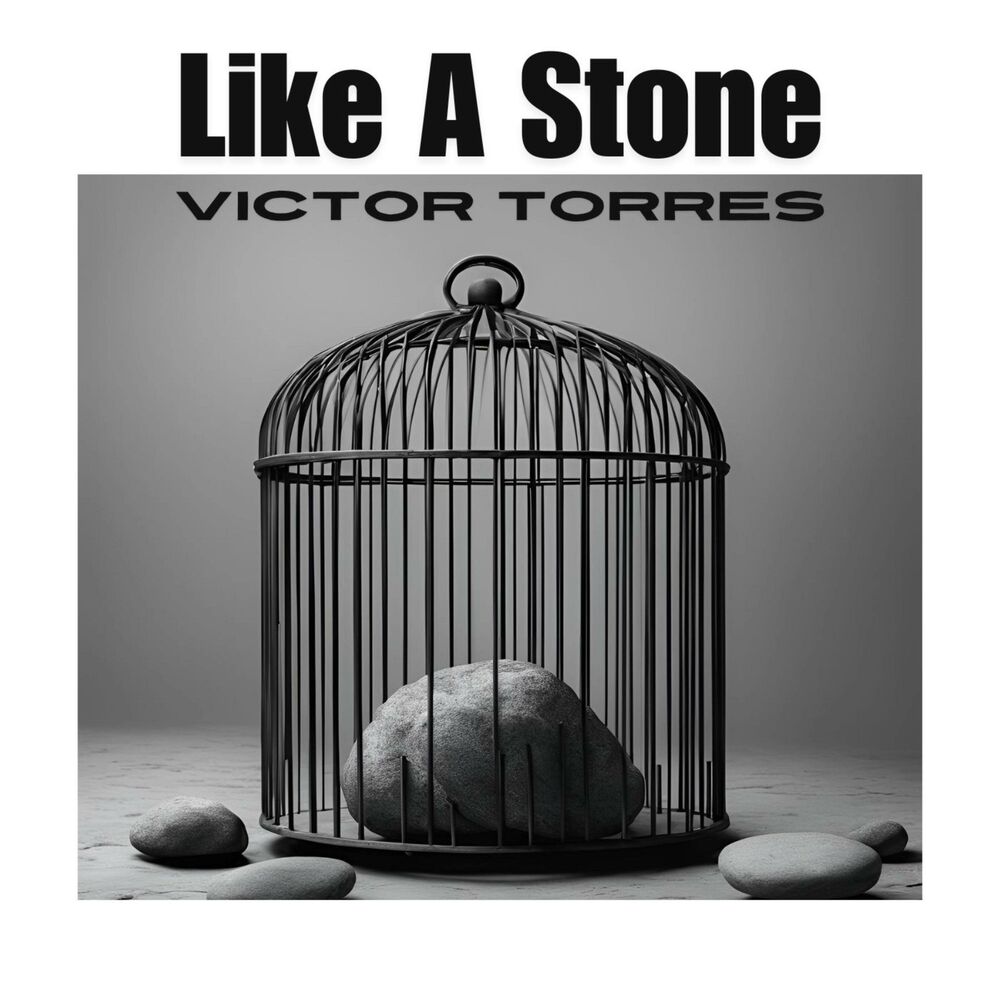 Picture of Like A Stone