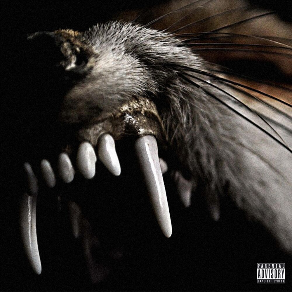 Picture of Fangs