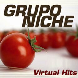 Cover of Virtual Hits