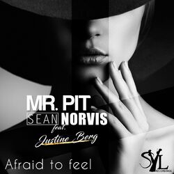 Cover of Afraid To Feel