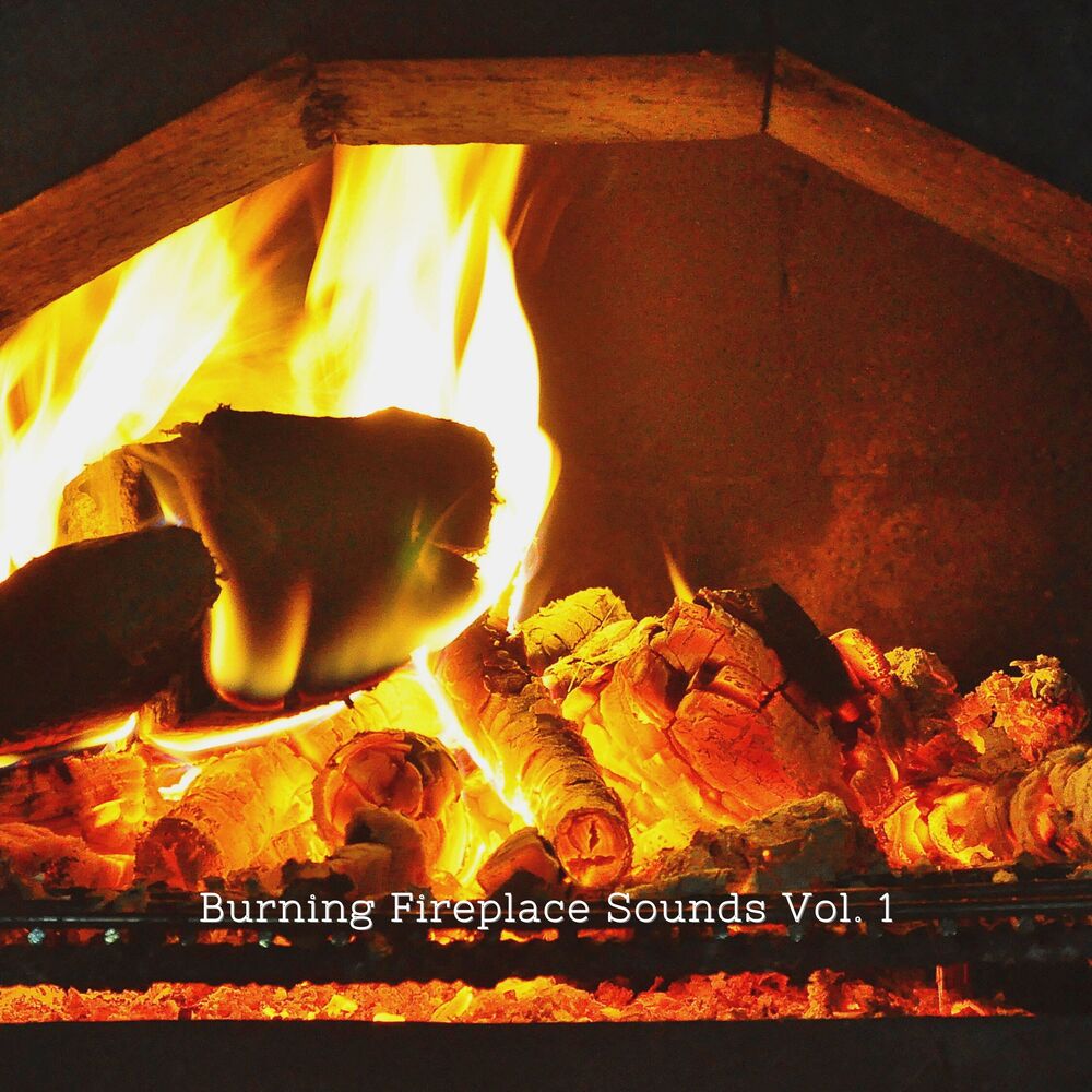 Picture of Burning Fireplace Sounds Vol. 1