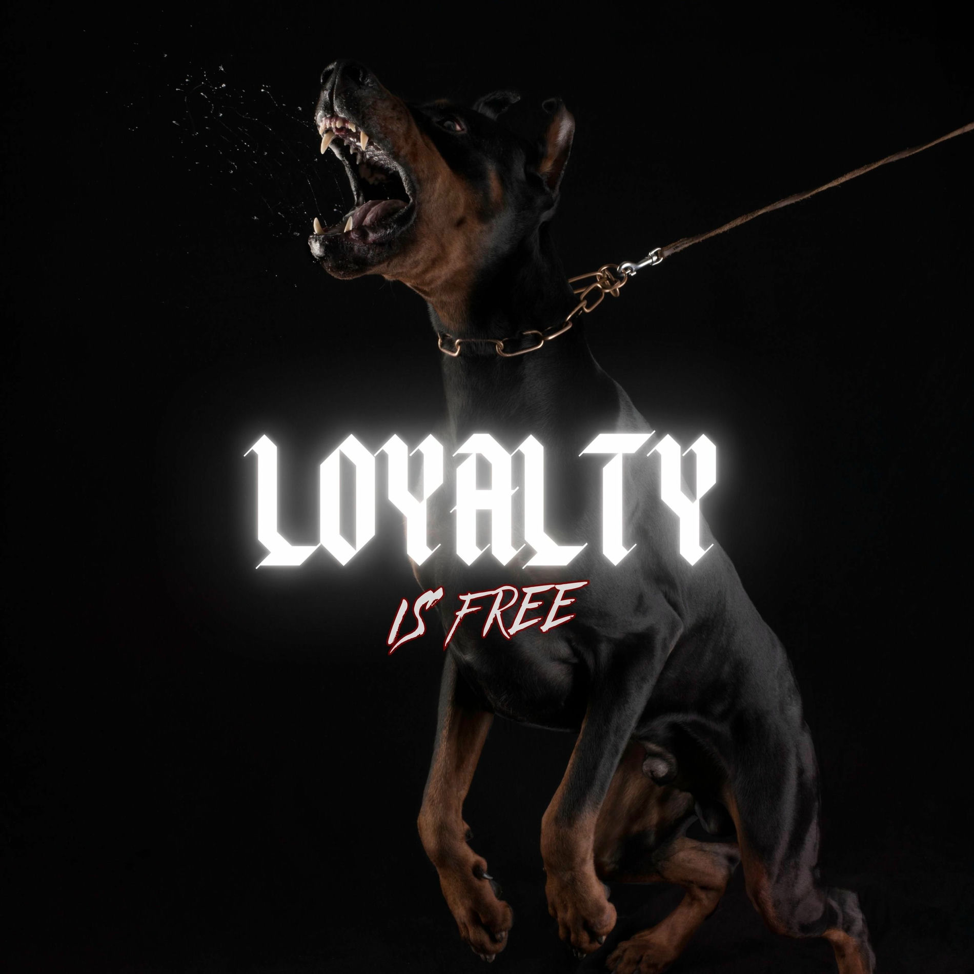 Album cover of Loyalty Is Free (feat. DJ Skandalous)