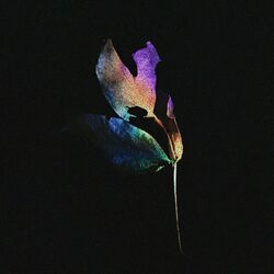 Cover of Ephemer