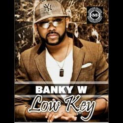 Cover of Low Key