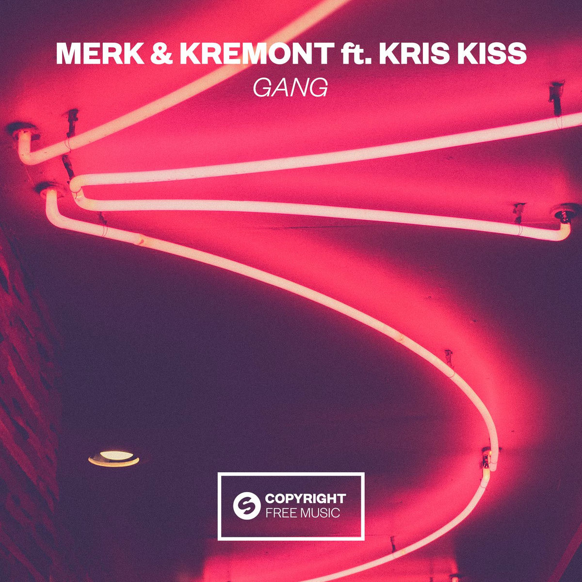 Album cover of GANG (feat. Kris Kiss)