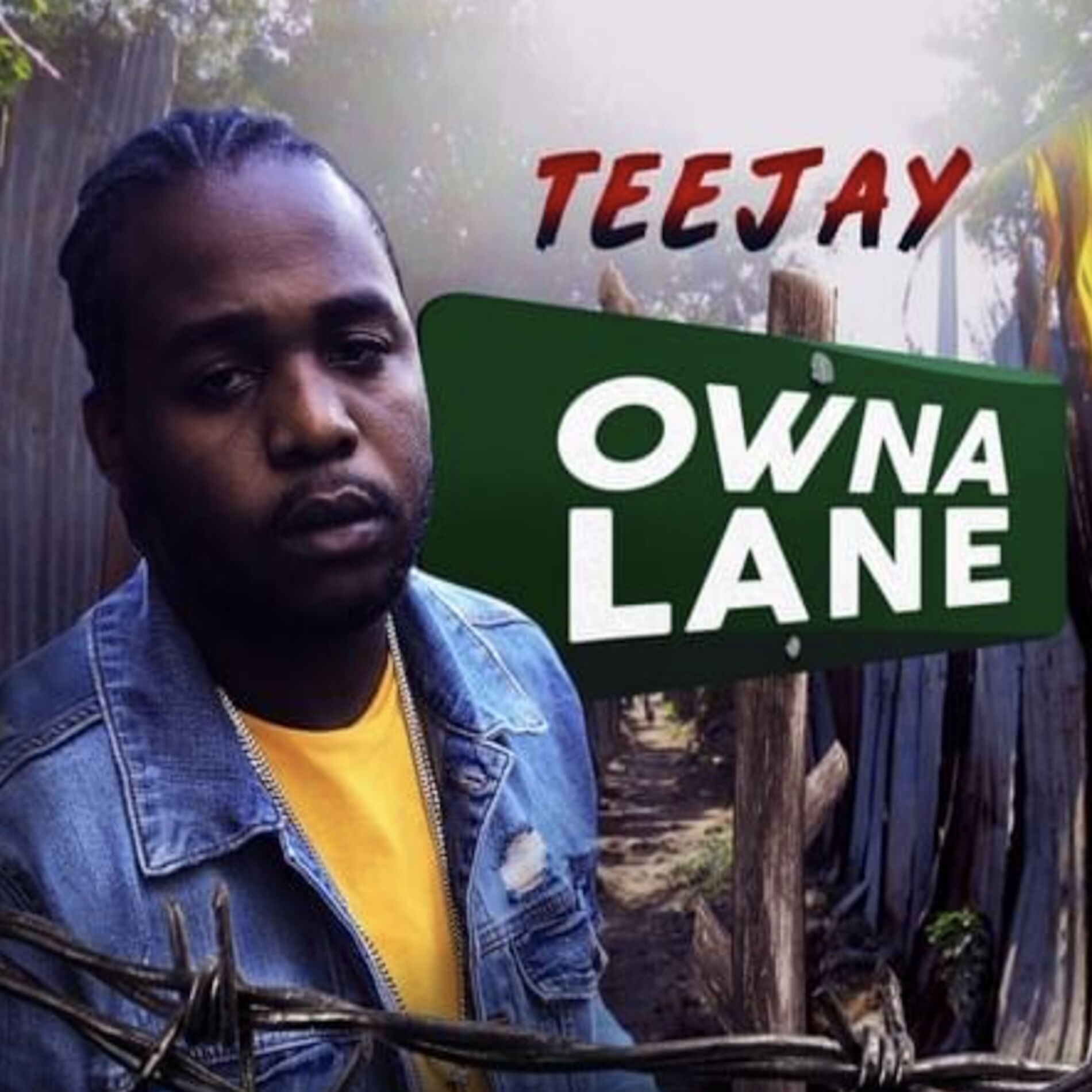 Album cover of Owna Lane