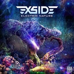Cover of Electric Nature