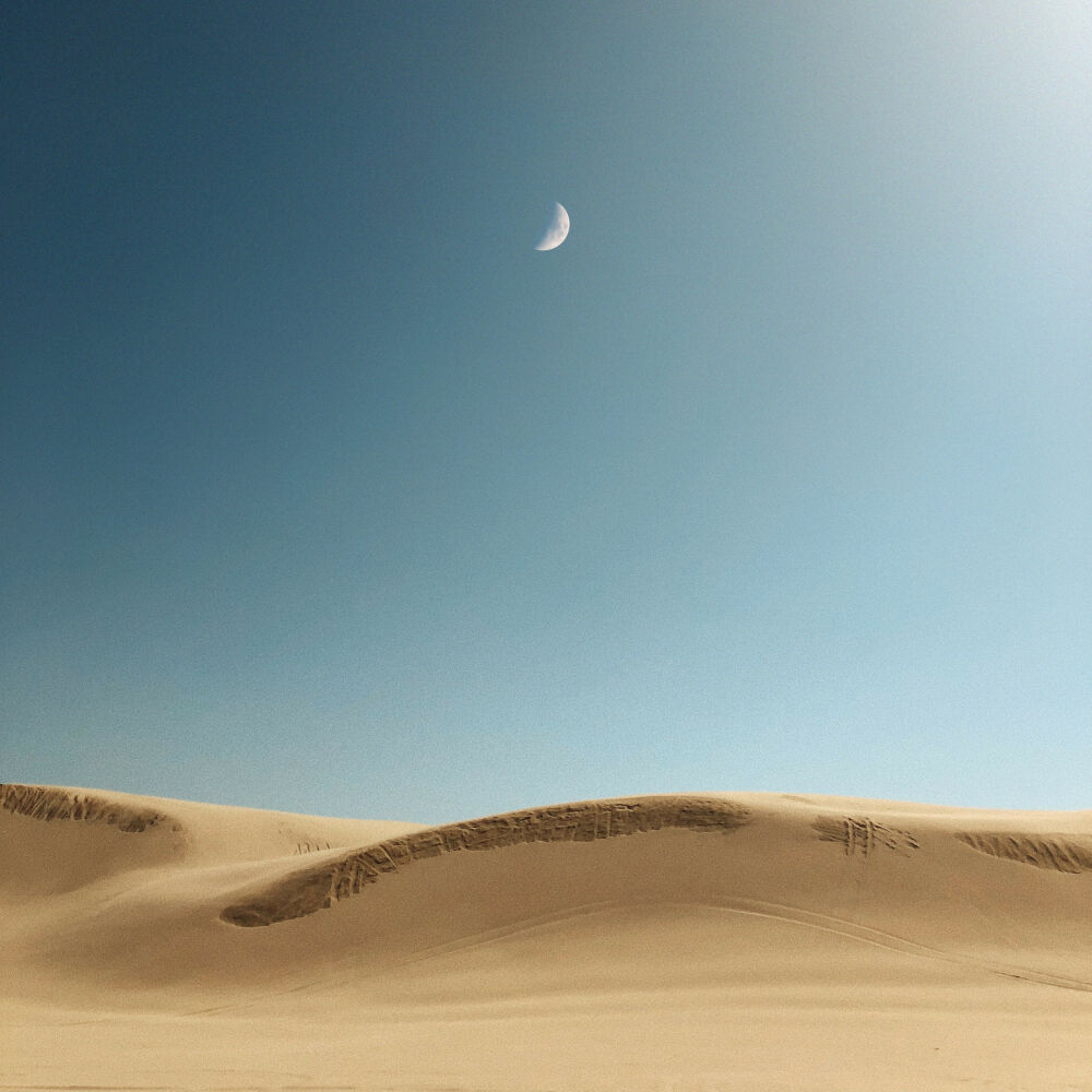 Picture of Senses