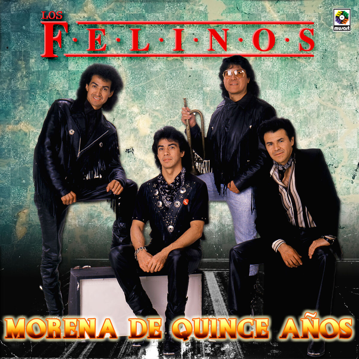 Album cover of Morena De Quince Años