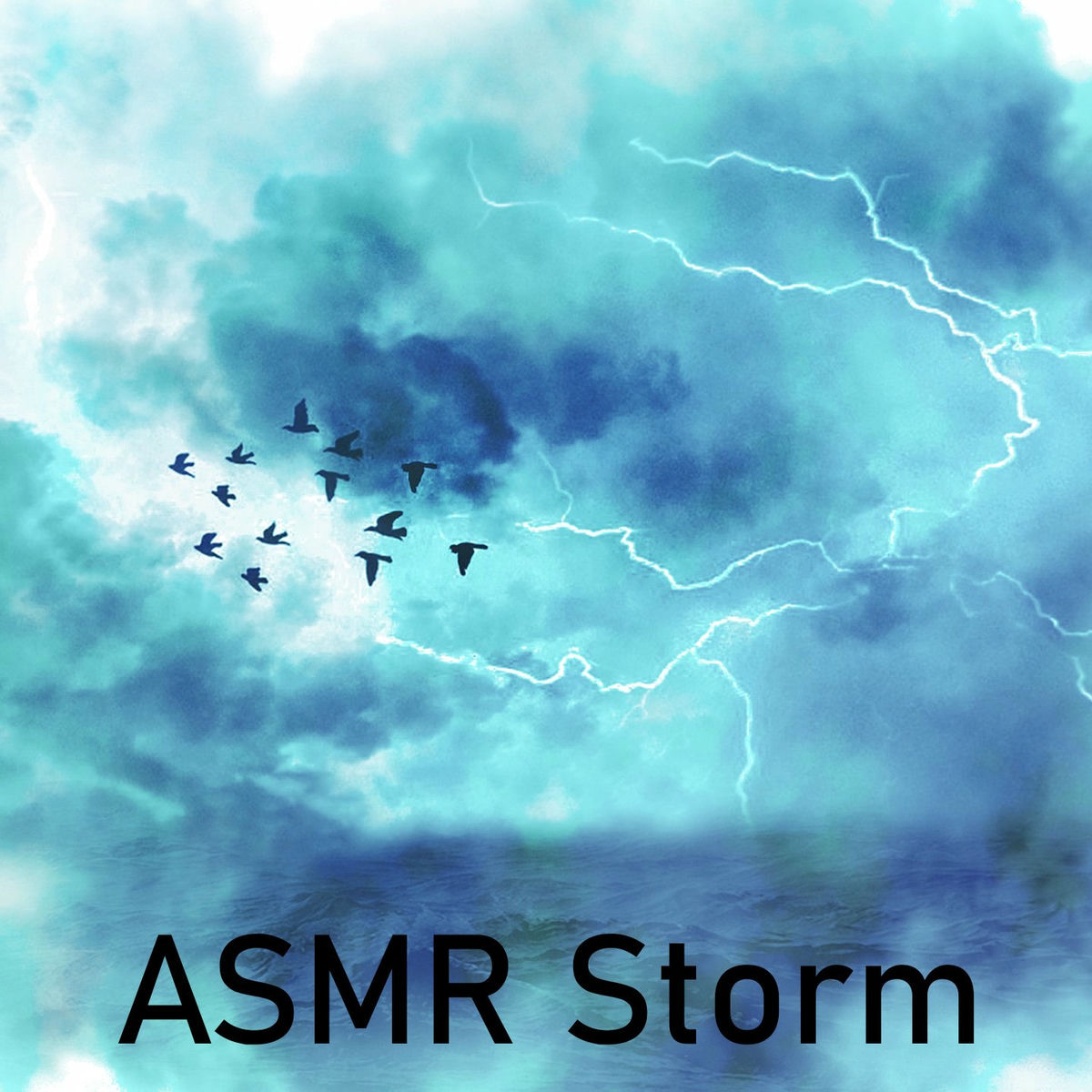 Album cover of ASMR Storm