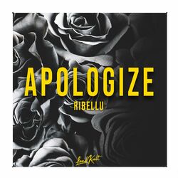 Cover of Apologize