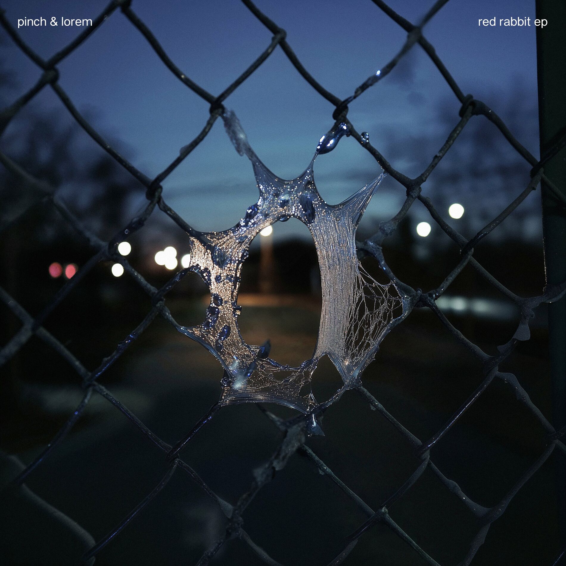 Album cover of Perdido