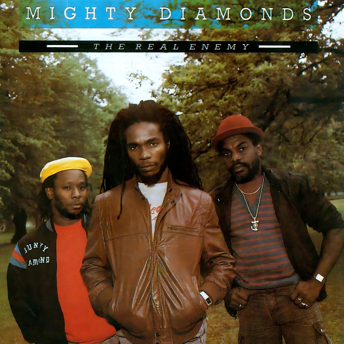 Album cover of The Real Enemy (Remastered Edition)