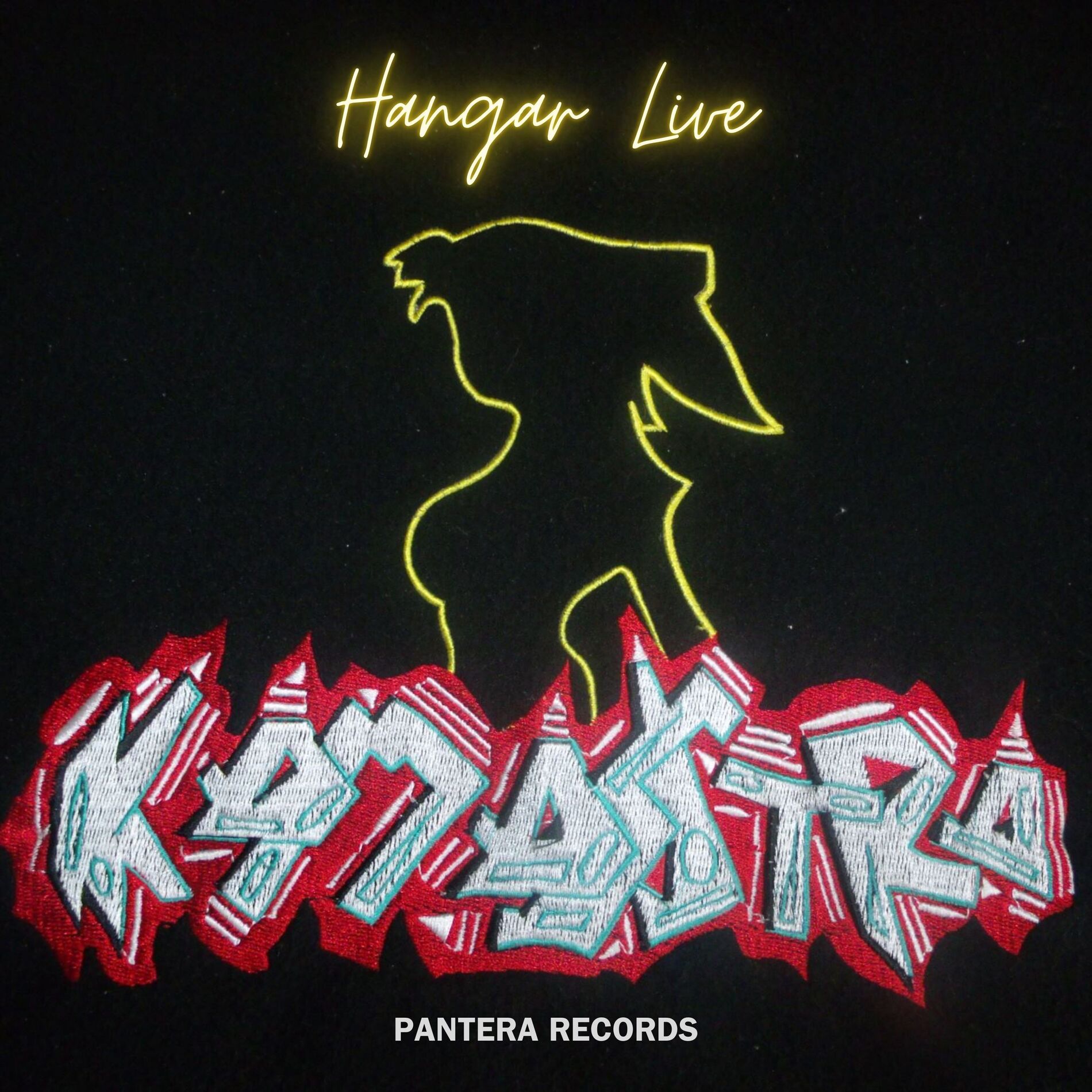Album cover of Kamasutra Hangar (Live)