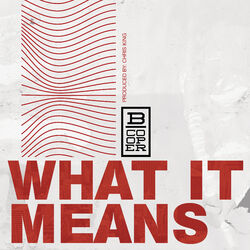 Cover of What It Means