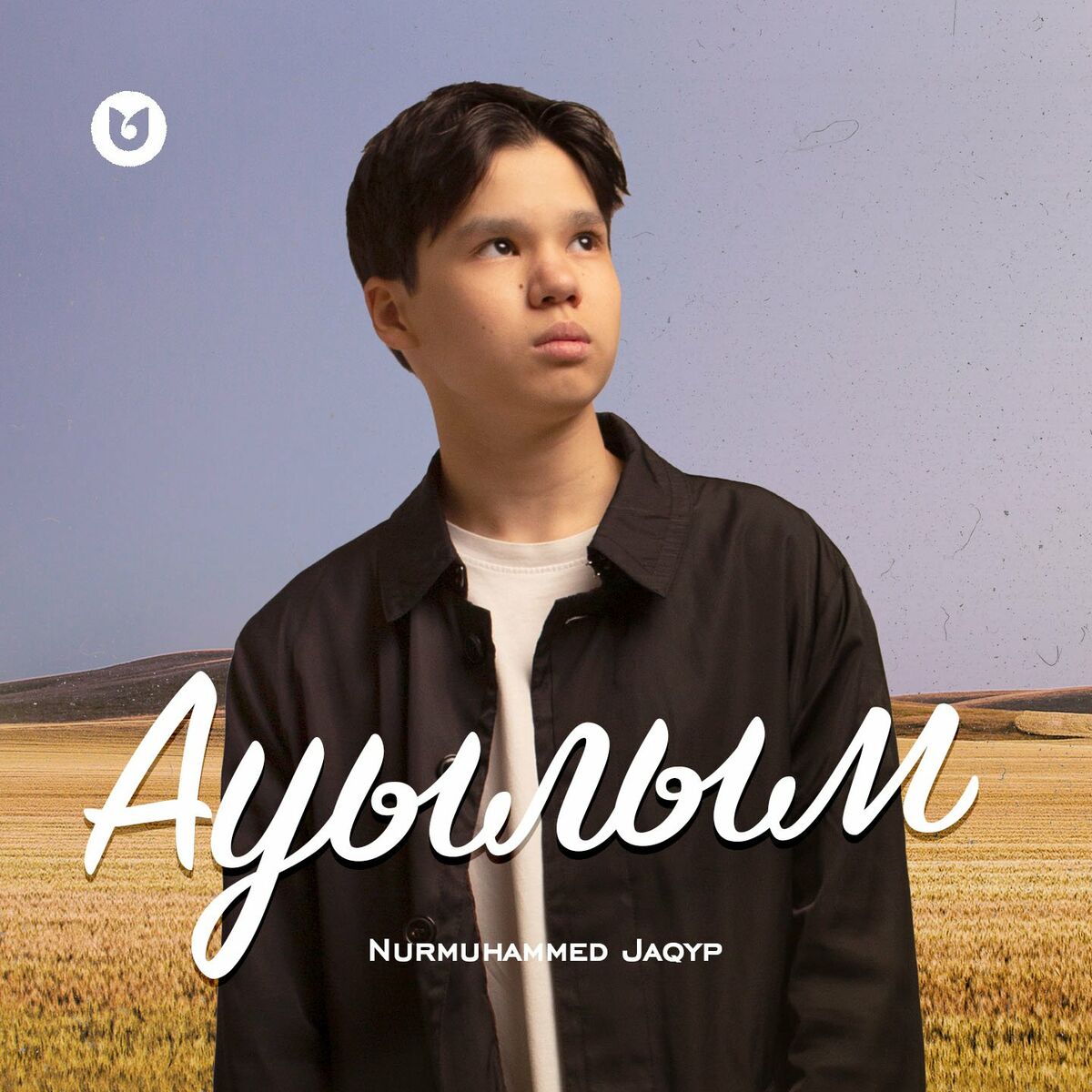 Album cover of Ауылым