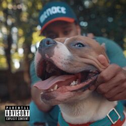 Cover of TopDog