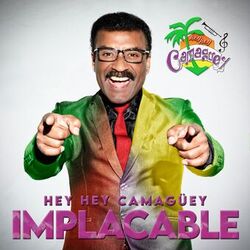 Cover of Implacable