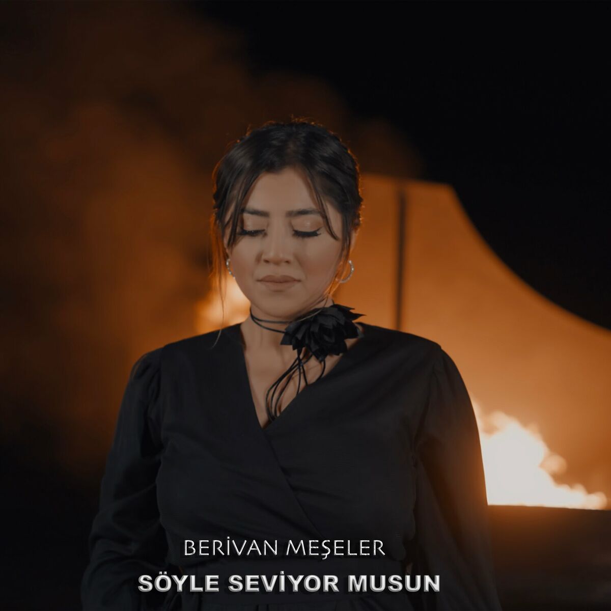 Album cover of Söyle Seviyor Musun