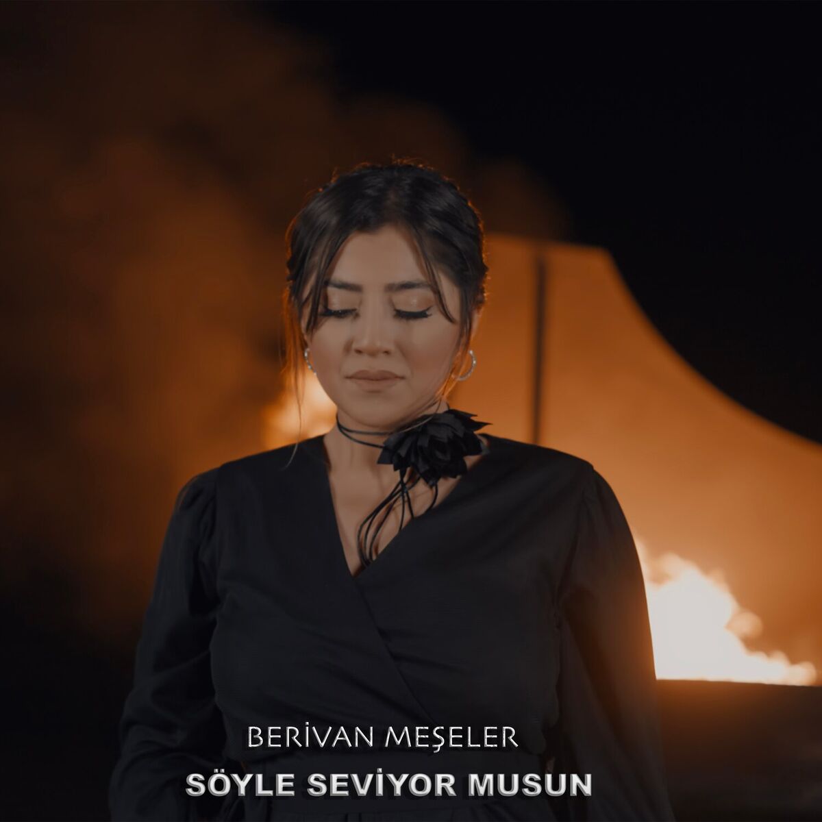 Album cover of Söyle Seviyor Musun