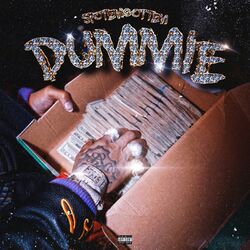 Cover of Dummie
