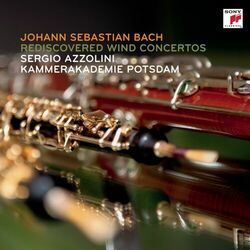 Cover of J. S. Bach: Rediscovered Wind Concertos