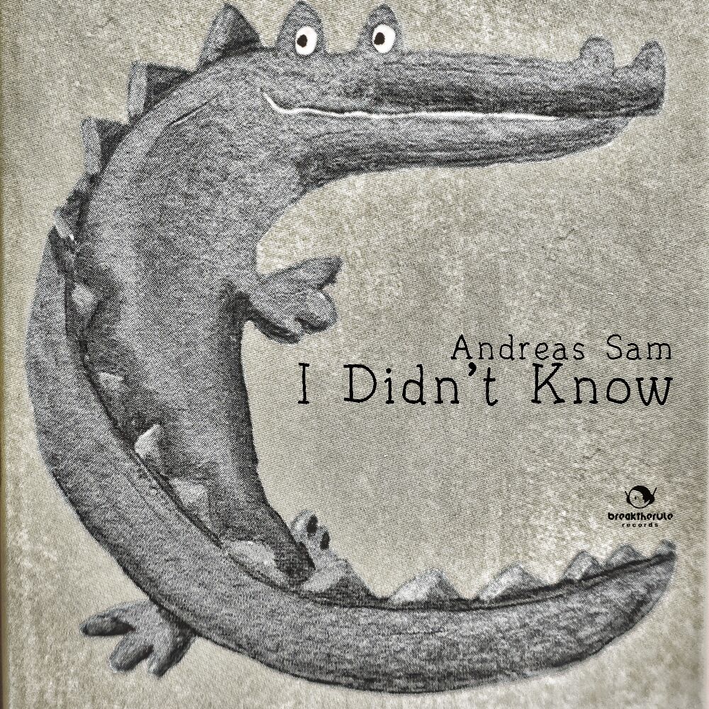 Picture of I Didn't Know