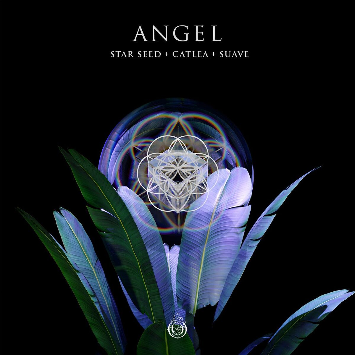 Album cover of ANGEL