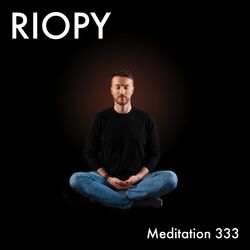 Cover of Meditation 333