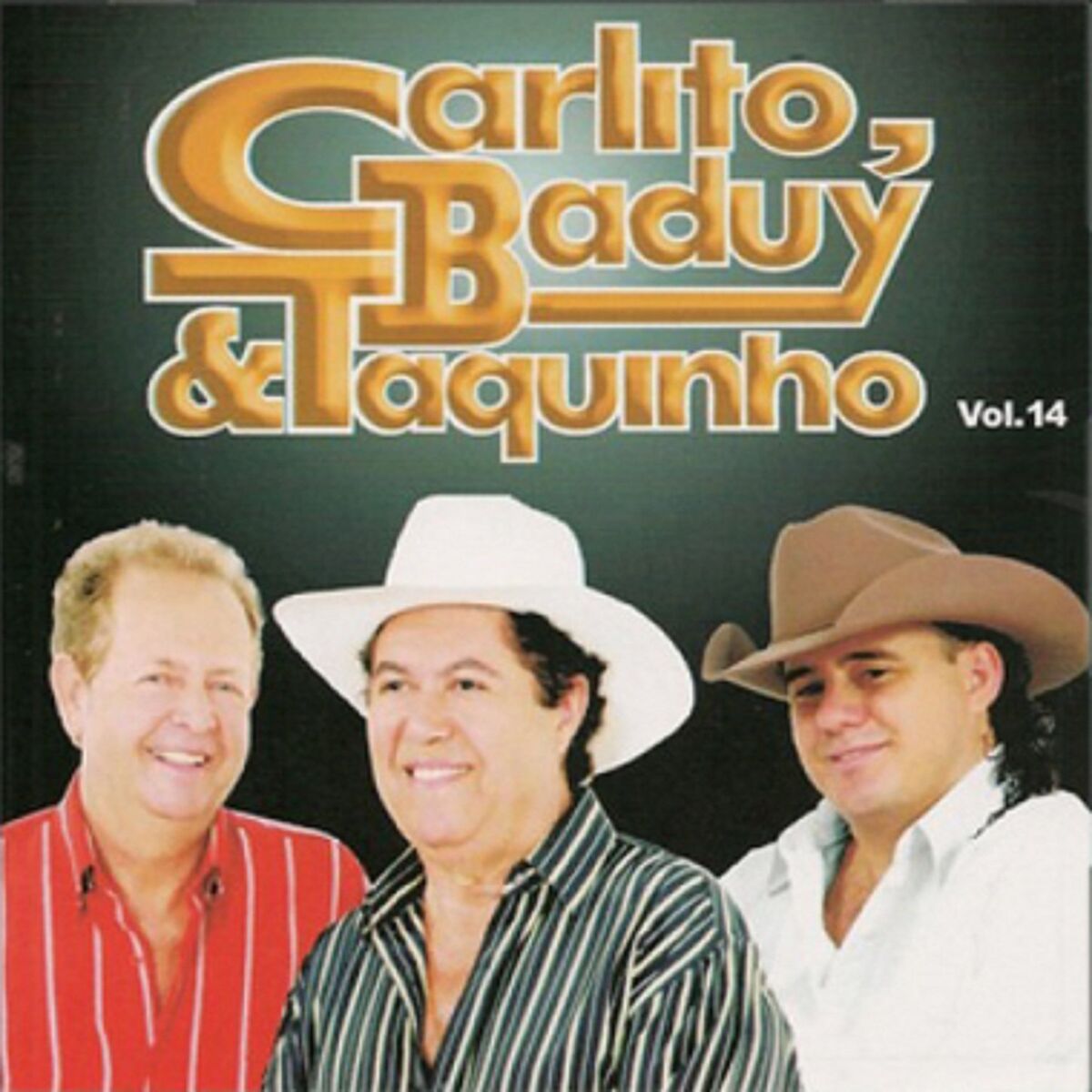 Album cover of Vol.14