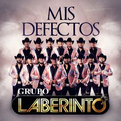 Cover of Mis Defectos