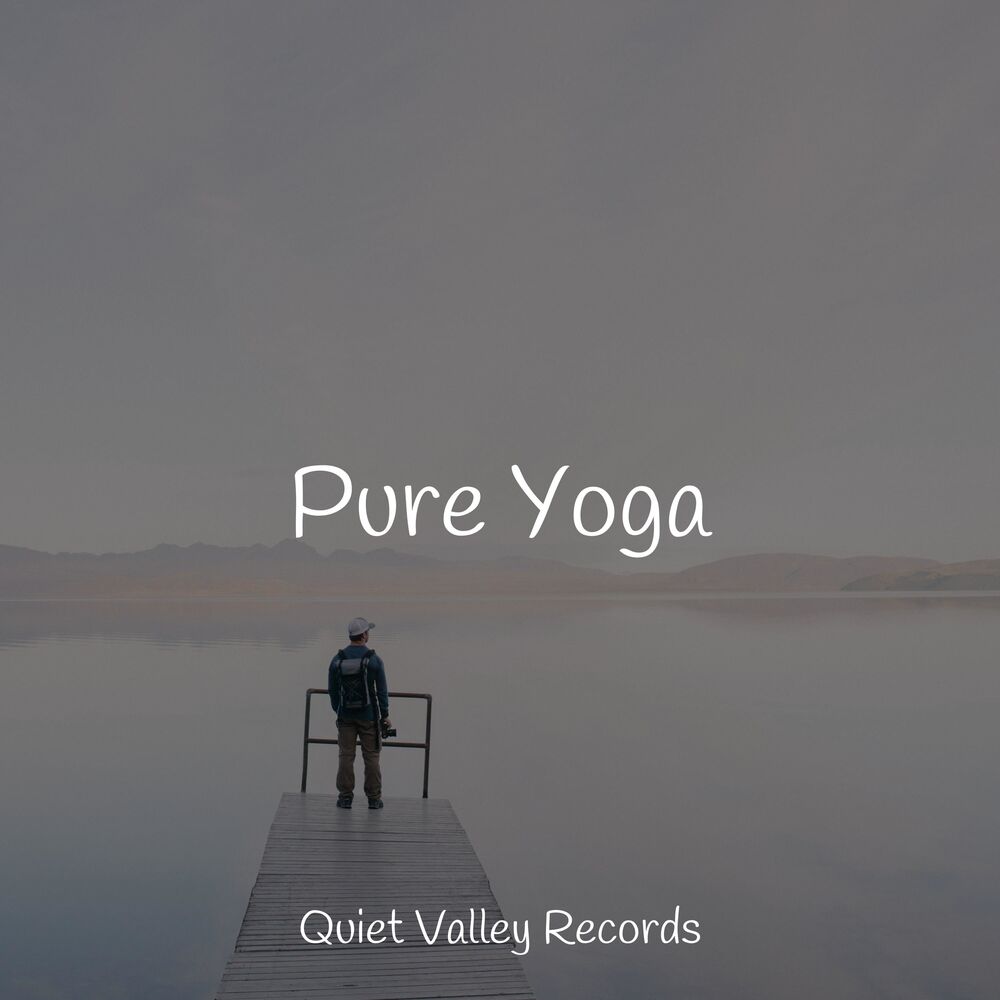 Picture of Pure Yoga