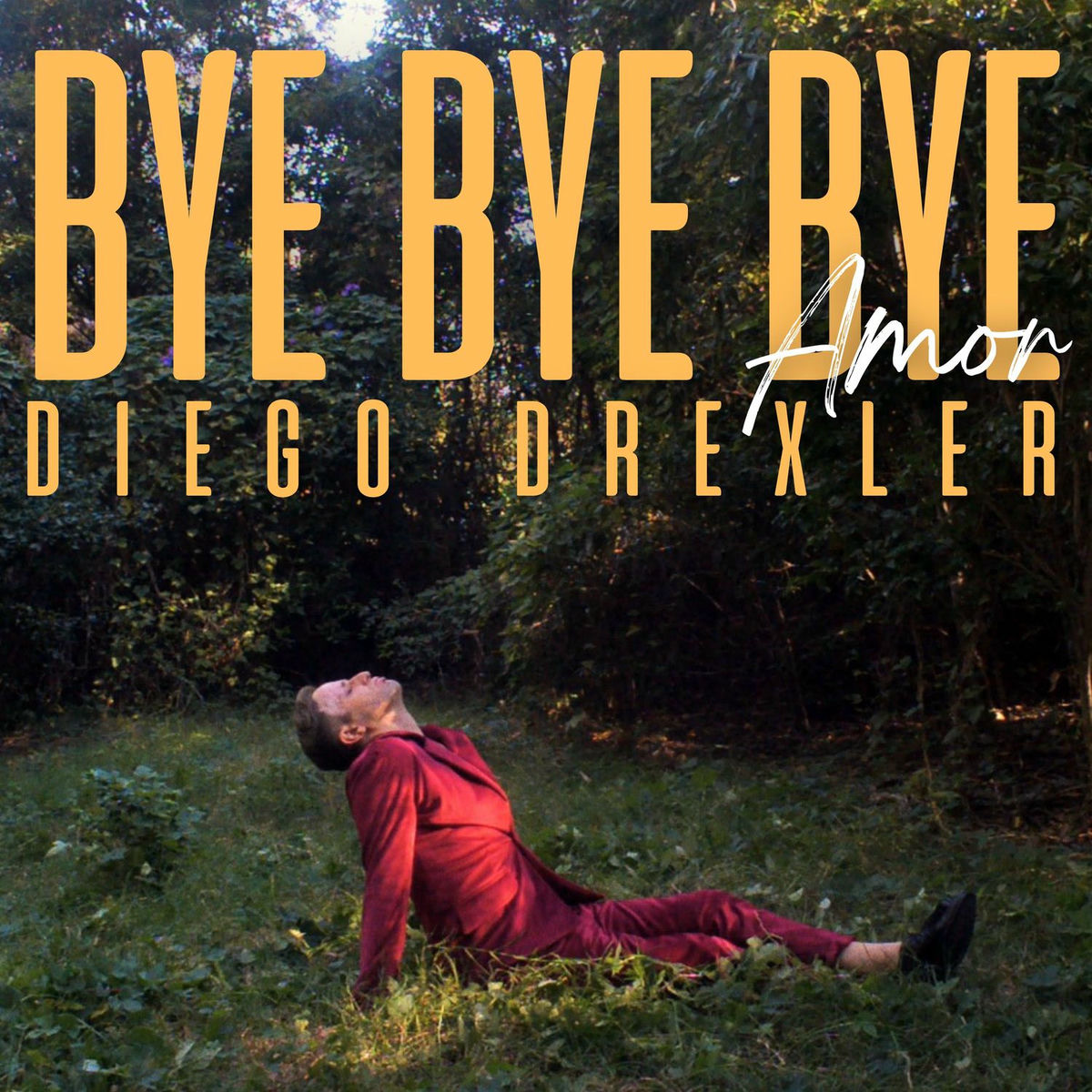 Album cover of Bye bye bye amor