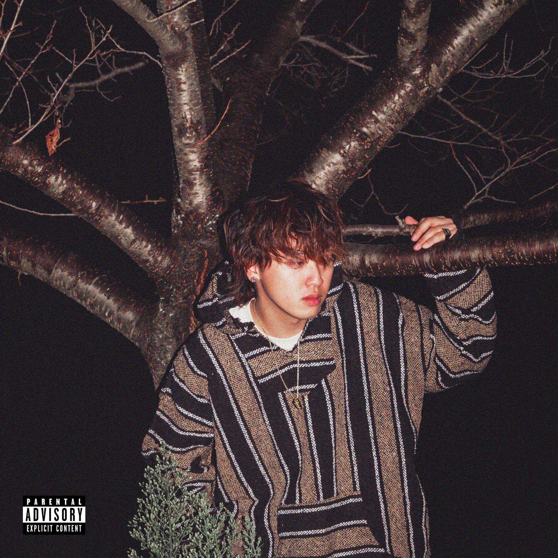 Album cover of NEHANN