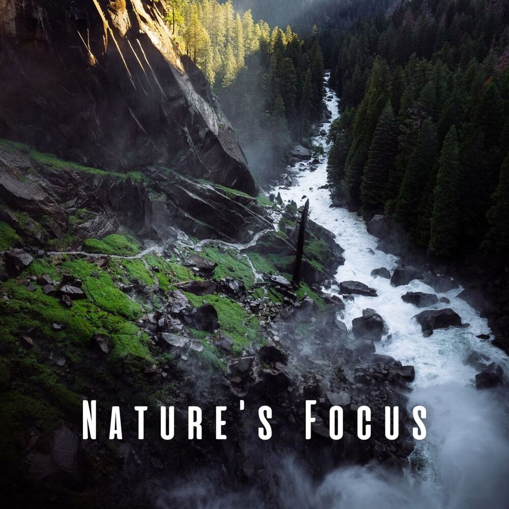 Picture of Nature's Focus: Stilling Streams for Calm Meditations