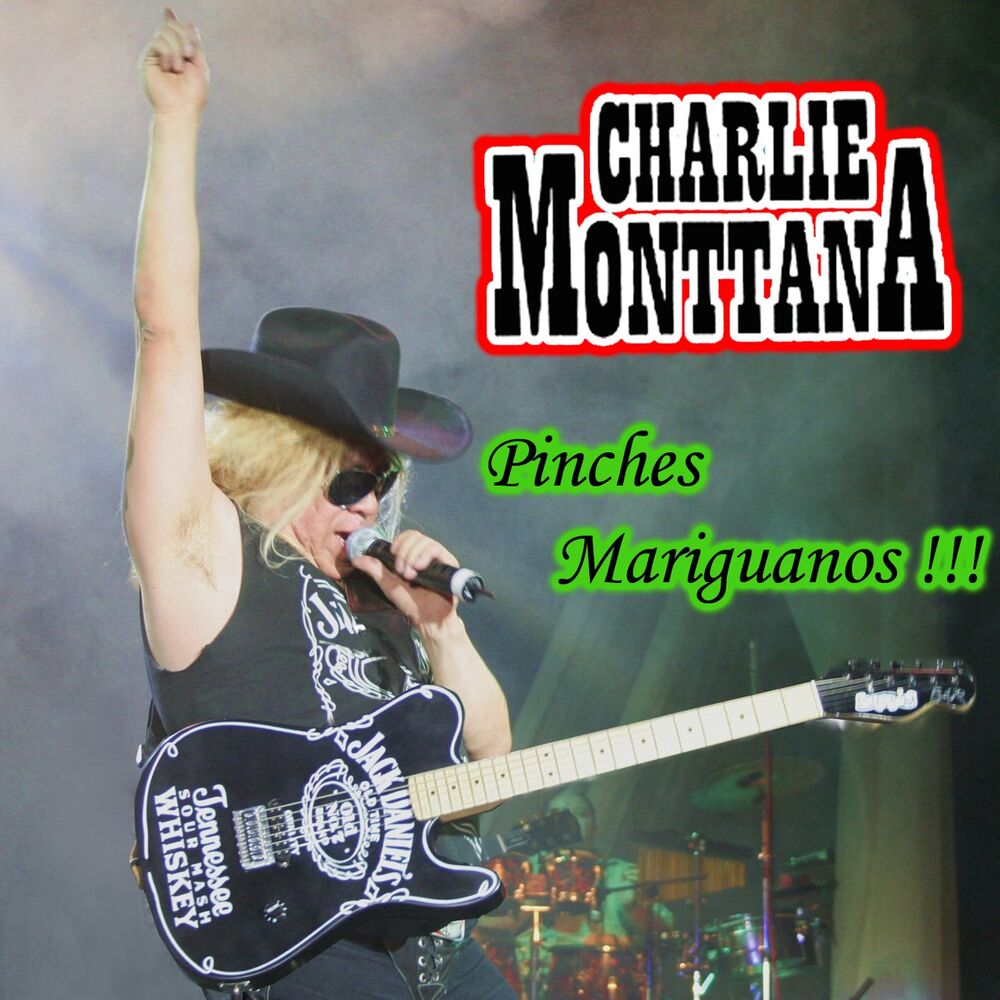 Picture of Pinches Mariguanos