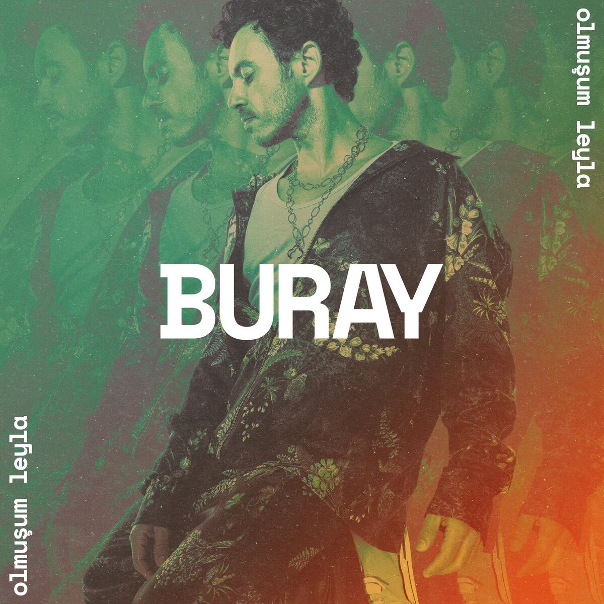 Album cover of Olmuşum Leyla