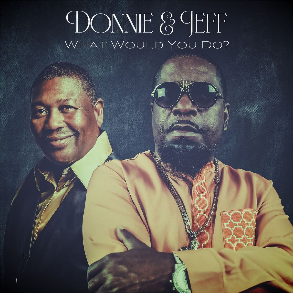Album cover of What Would You Do?
