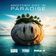 Another Day In Paradise (Extended Mix)