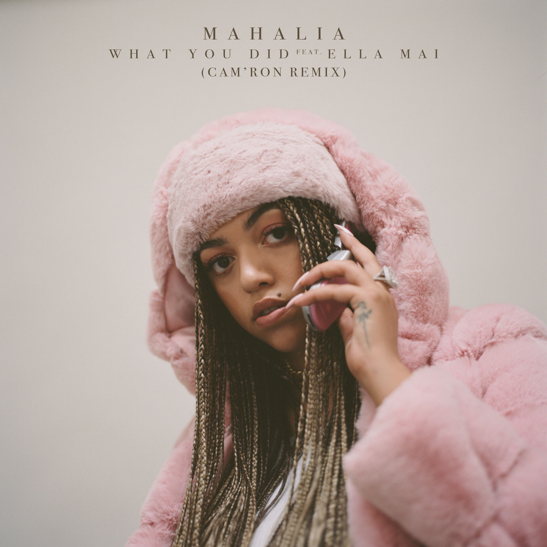 Album cover of What You Did (feat. Ella Mai) [Cam'ron Remix]