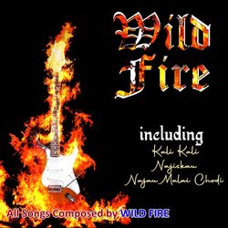 Cover of Wild Fire