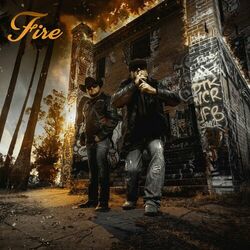 Cover of Fire
