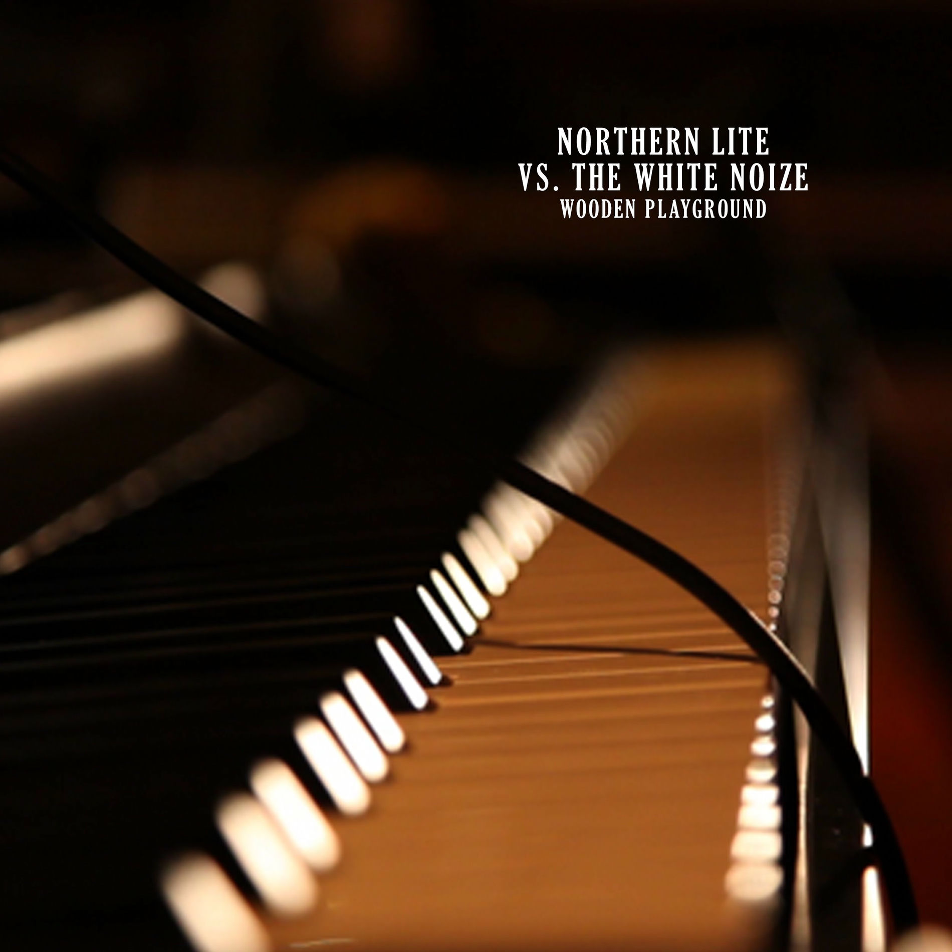 Album cover of Wooden Playground