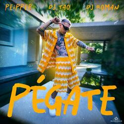 Cover of PÉGATE