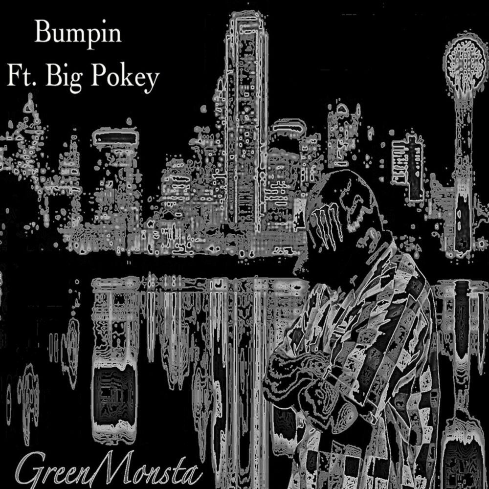 Picture of Bumpin